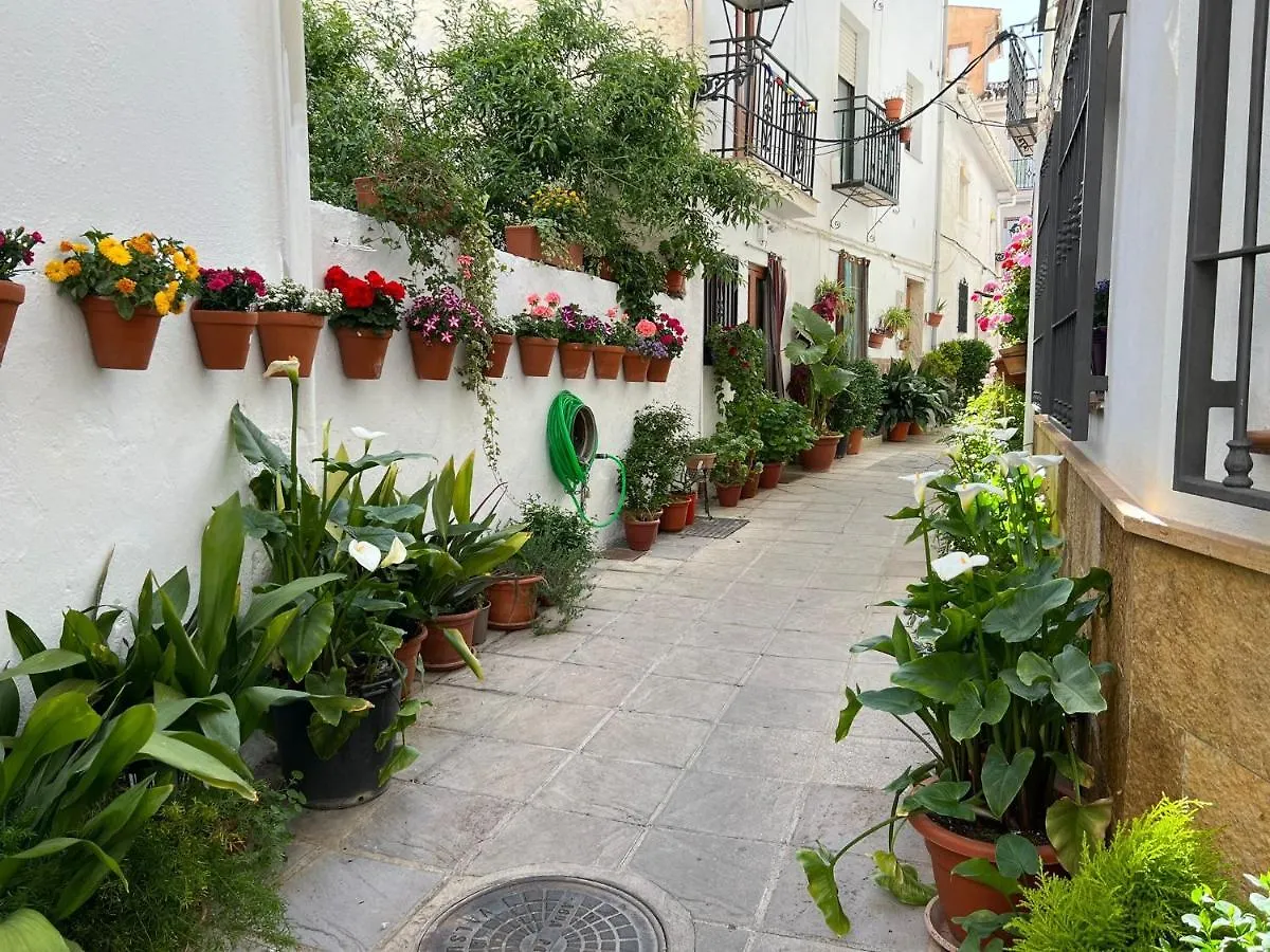 Apartamento El rinconcito de Antonia Güéjar Sierra